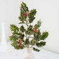 18" Gold-Accented Holly and Berry Stems (Pack of 12)