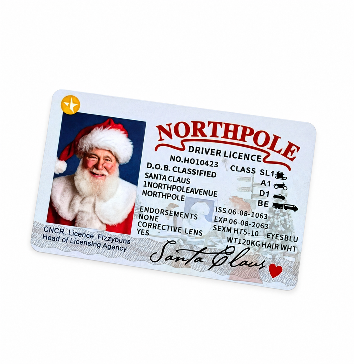 Official North Pole Santa Driver’s License
